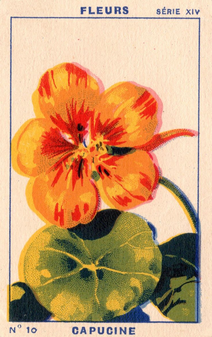 flowercard